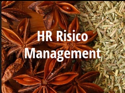 HR Risico Management